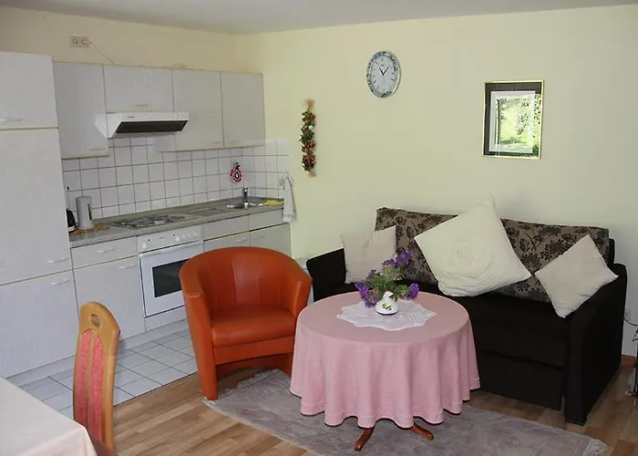 Apartment Baden Baden Haus am Ibachweg